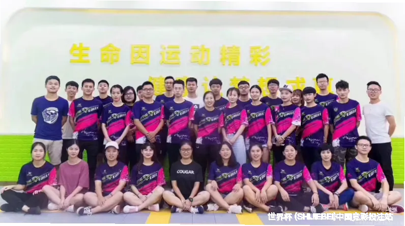 我们的故事：初心与坚守