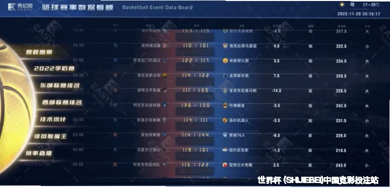 使用指南与注意事项